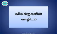 Vilangugalin Vaalidangal (Animals Living Places) Tool